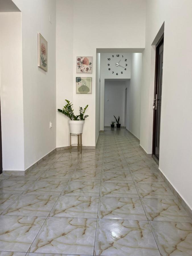 Lotus House Apartman Nagybecskerek Kültér fotó