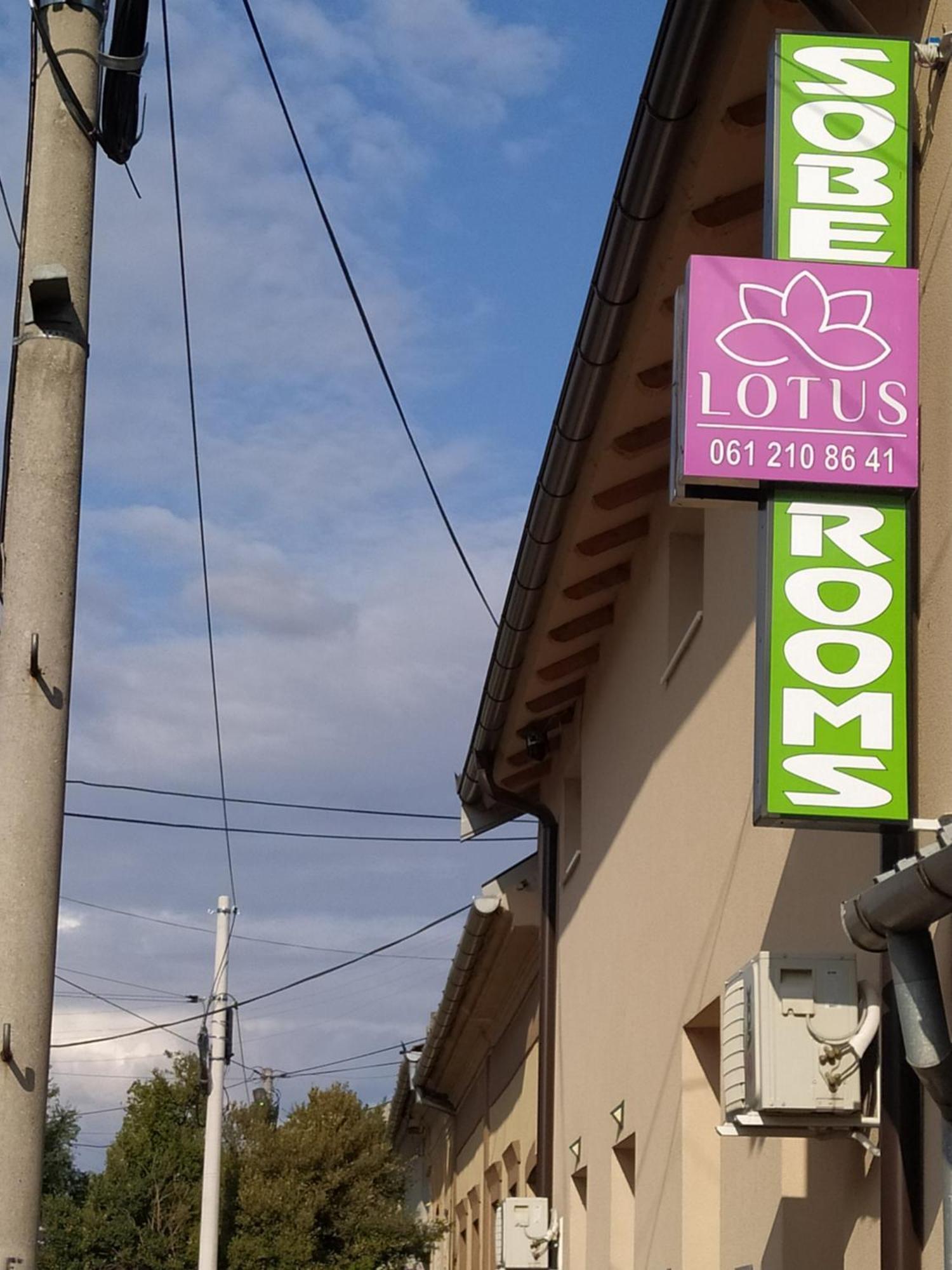 Lotus House Apartman Nagybecskerek Kültér fotó
