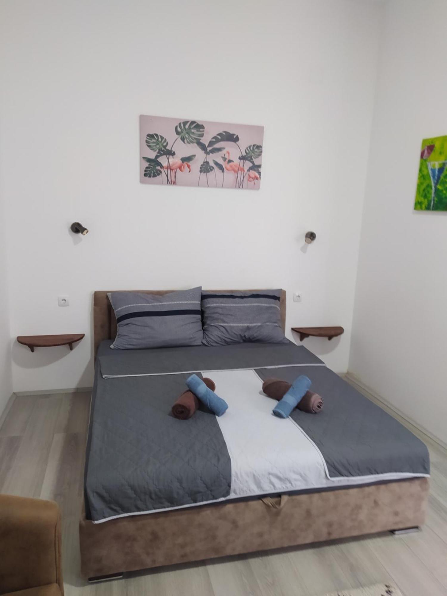Lotus House Apartman Nagybecskerek Kültér fotó