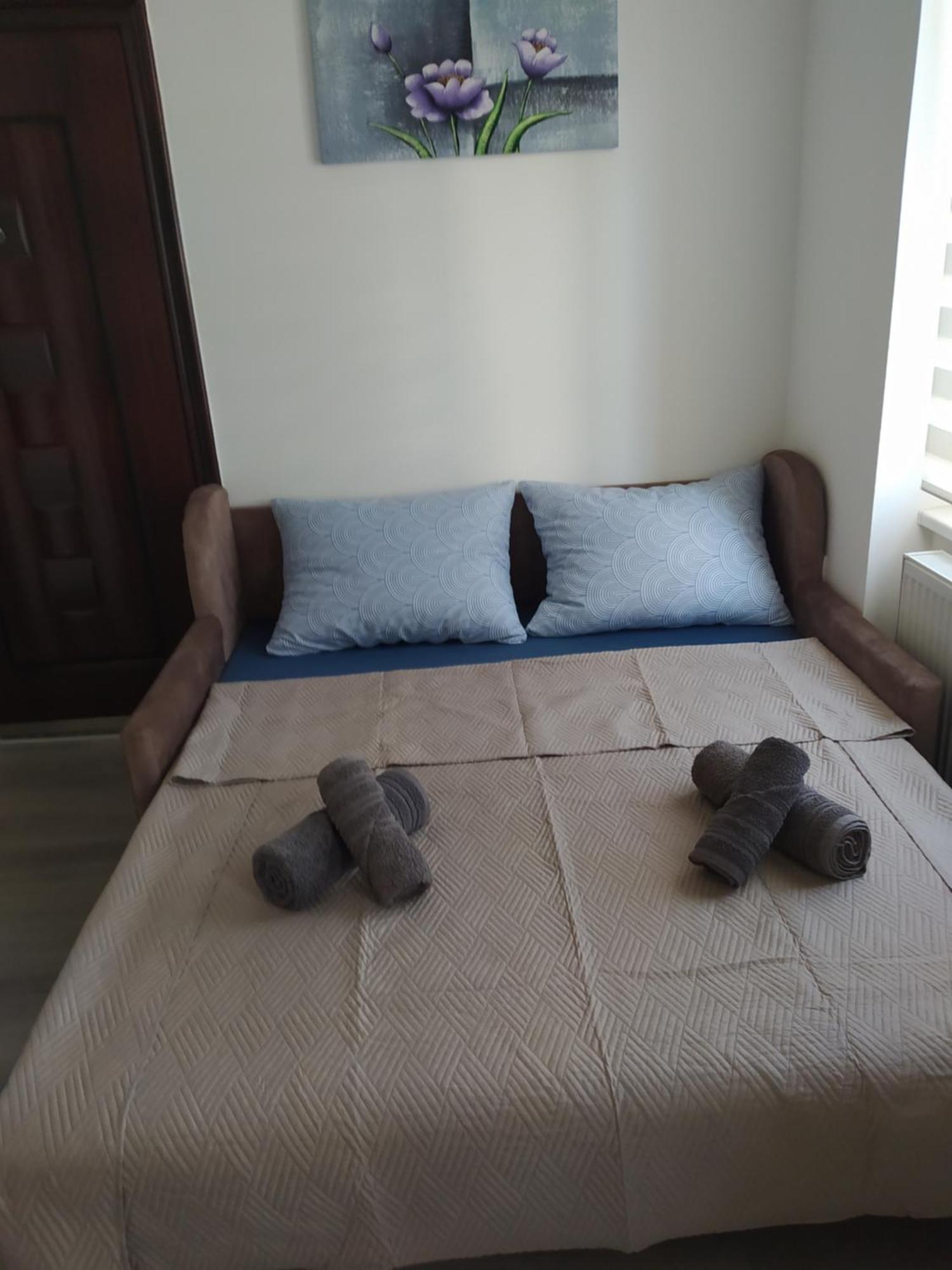 Lotus House Apartman Nagybecskerek Kültér fotó